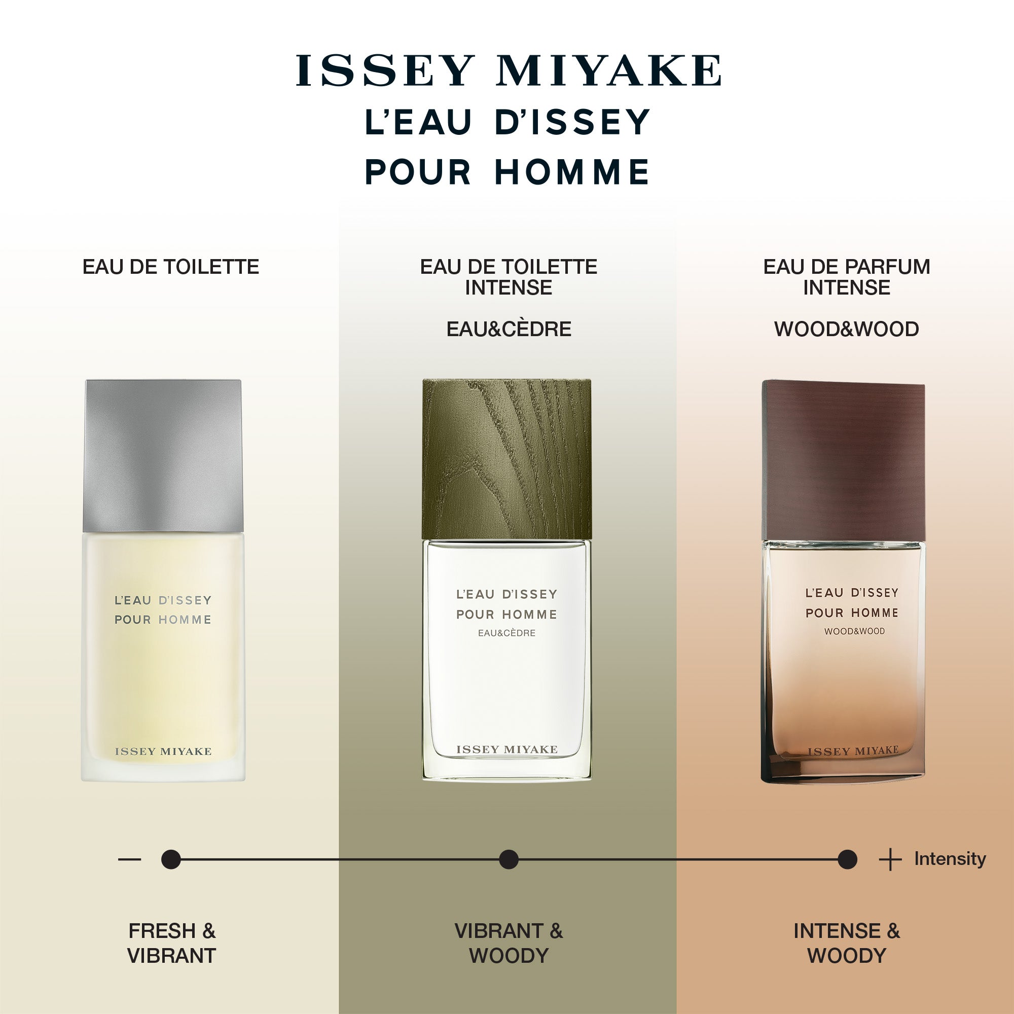 L'EAU D'ISSEY POUR HOMME RANGE