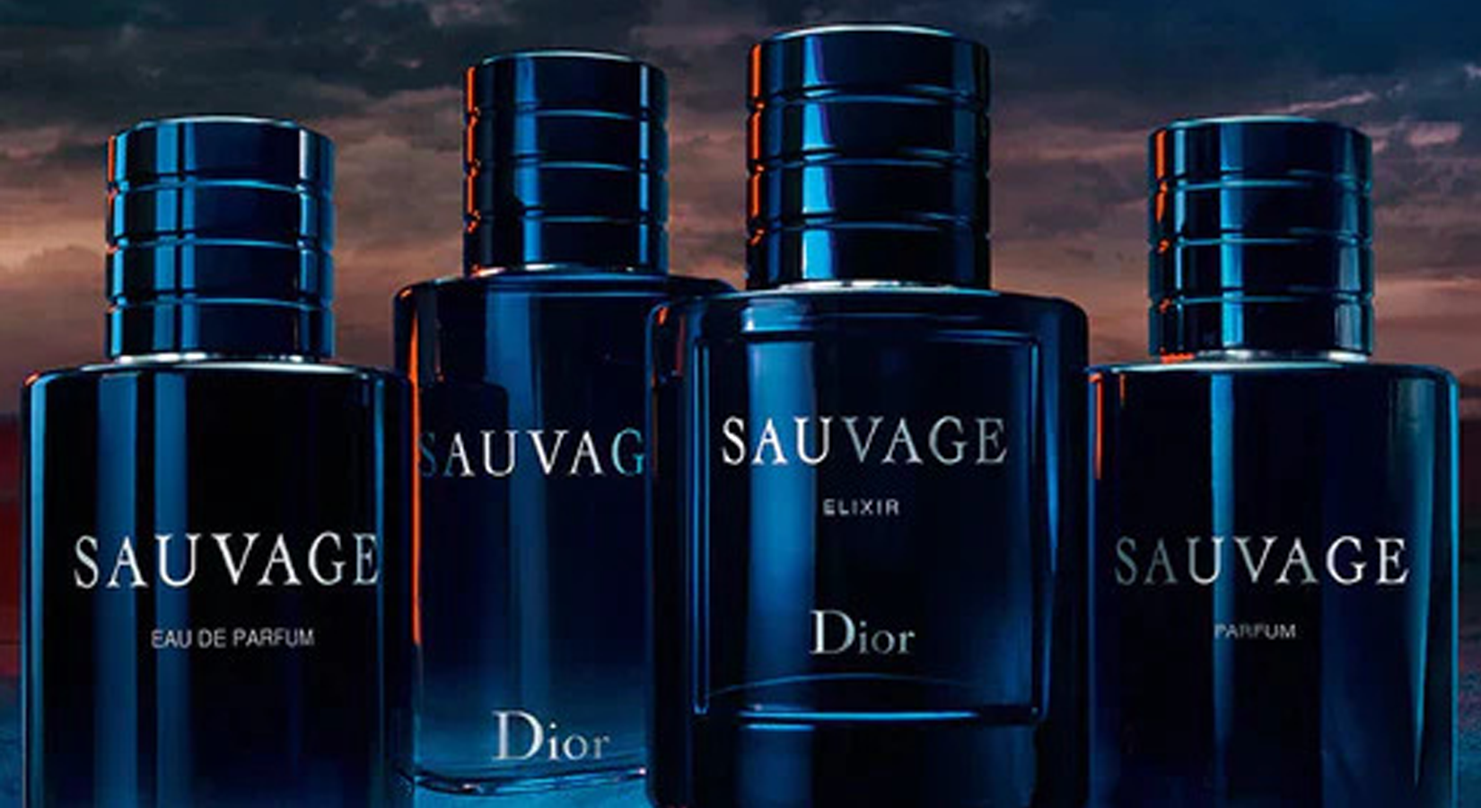 Best Perfumes For Men In 2024