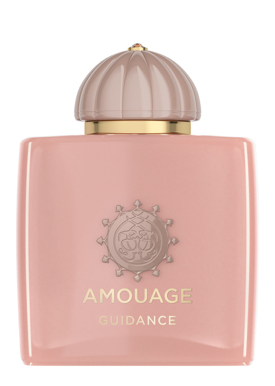 Amouage Guidance EDP 100ML