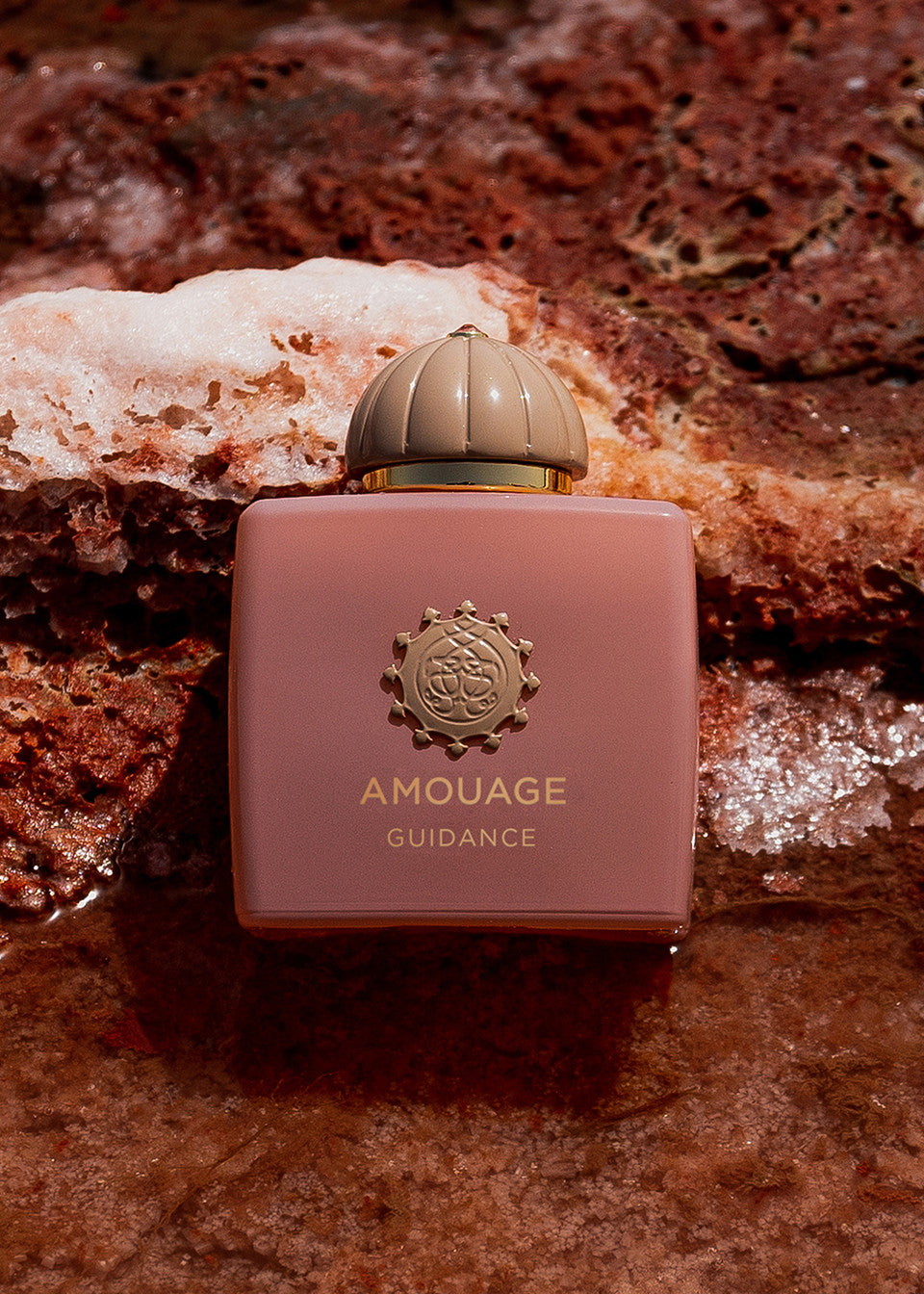 Amouage Guidance EDP 100ML