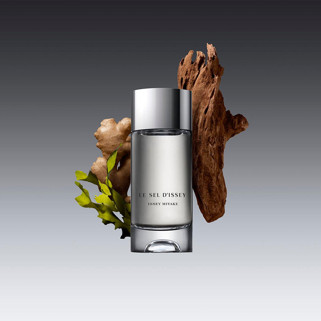 ISSEY MIYAKE Le Sel D'issey For Men EDT