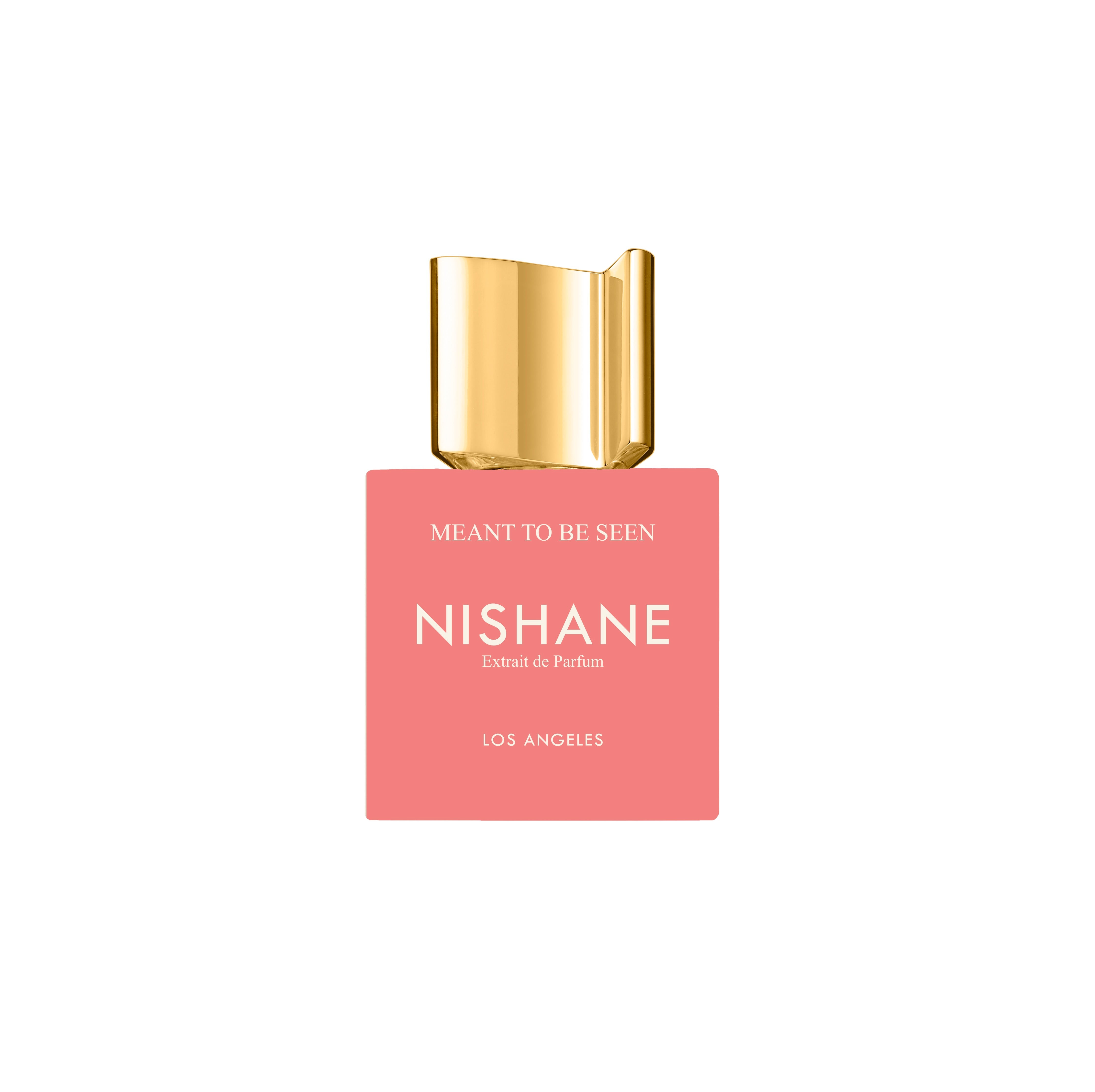 NISHANE Meant To Be Seen Extrait de Parfum 100ml