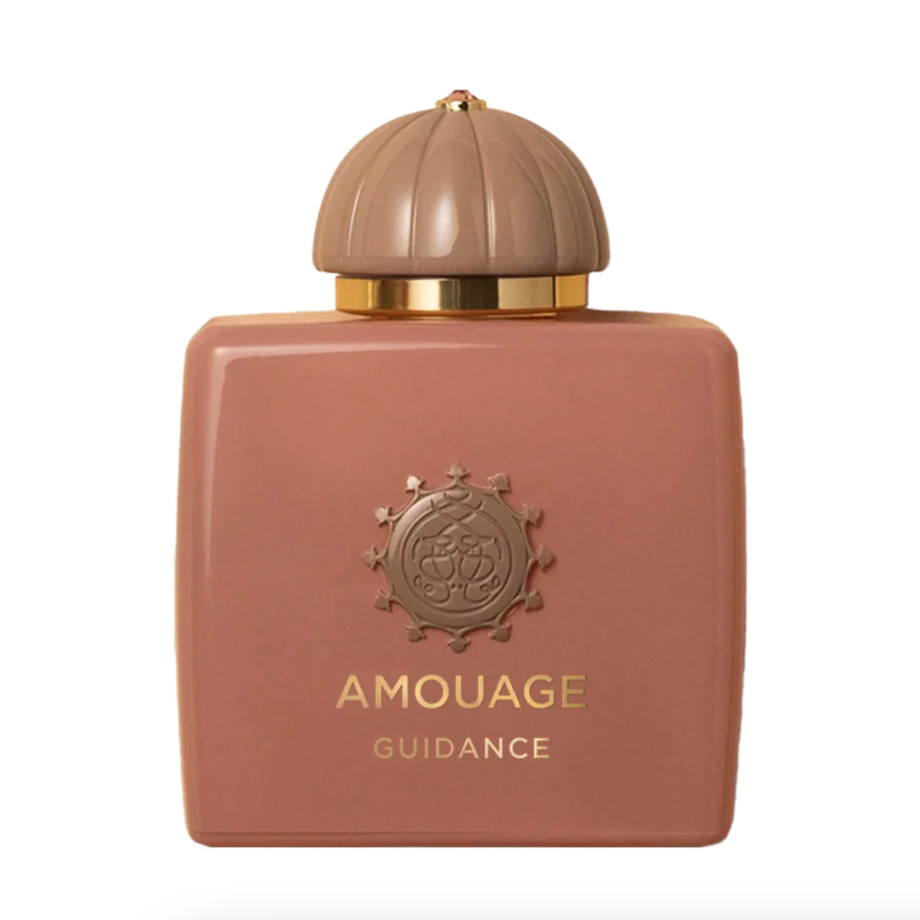 Amouage Guidance Women EDP 100ML