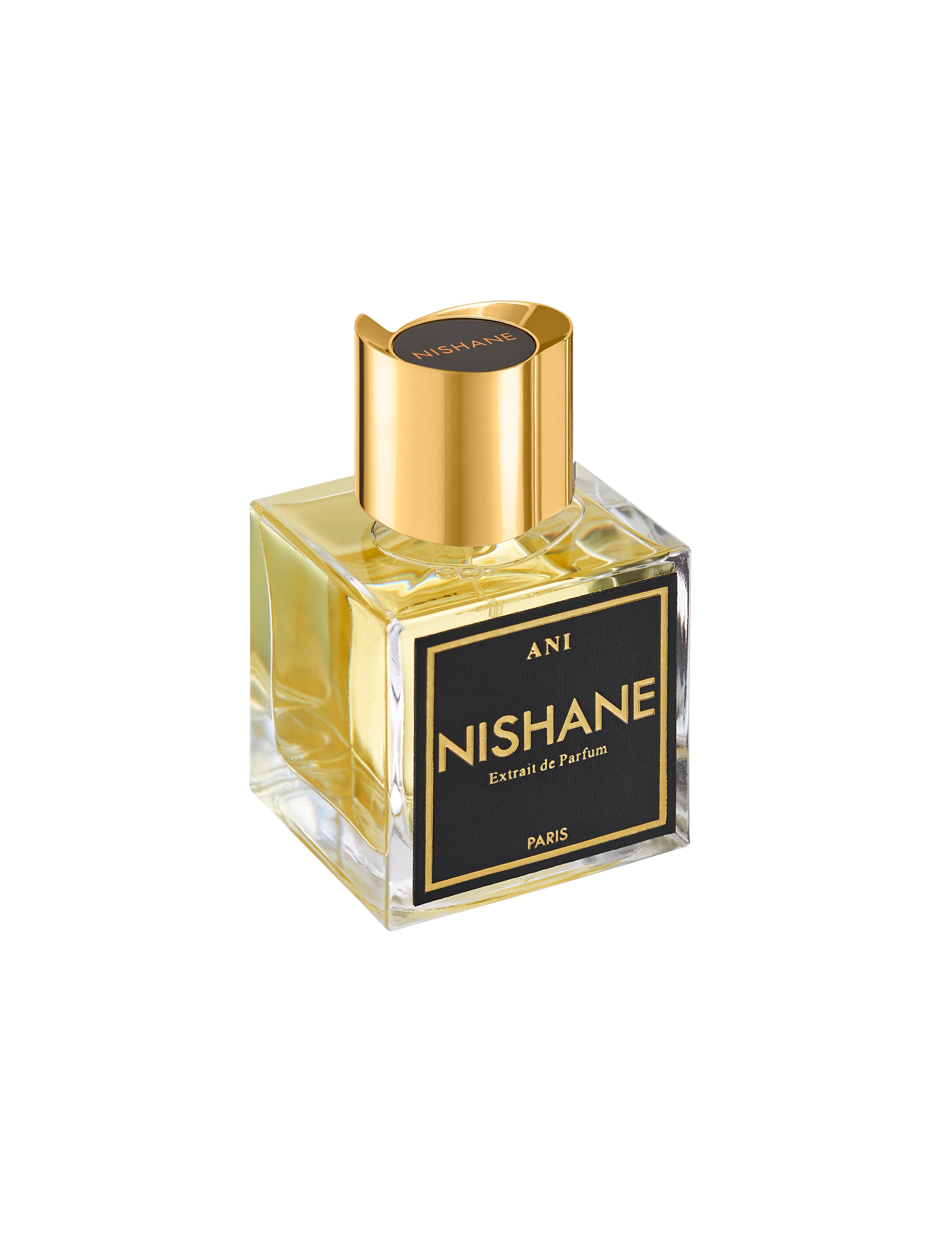 NISHANE Ani 100ML