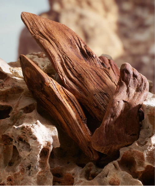 DOLCE & GABBANA K Parfum 100ml