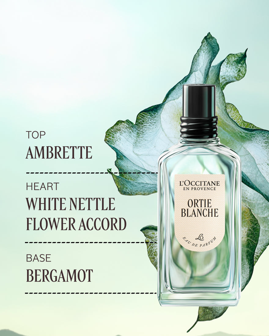 L'OCCITANE Ortie Blanche Edp 50ML