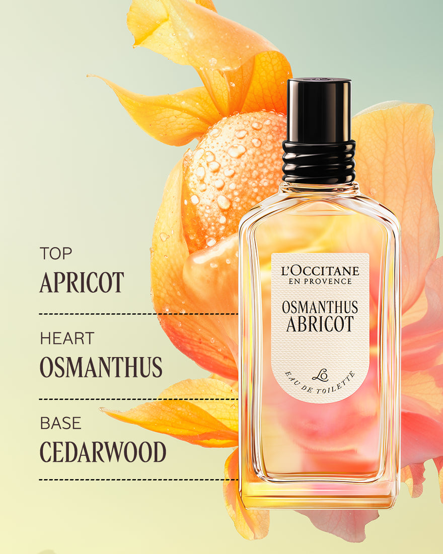 L'OCCITANE Osmanthus Abricot EDT 50ml