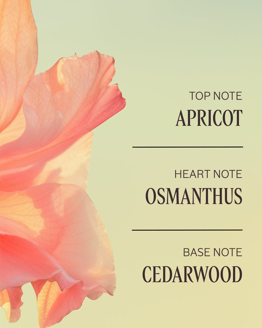 L'OCCITANE Osmanthus Abricot Body Lotion 250ml