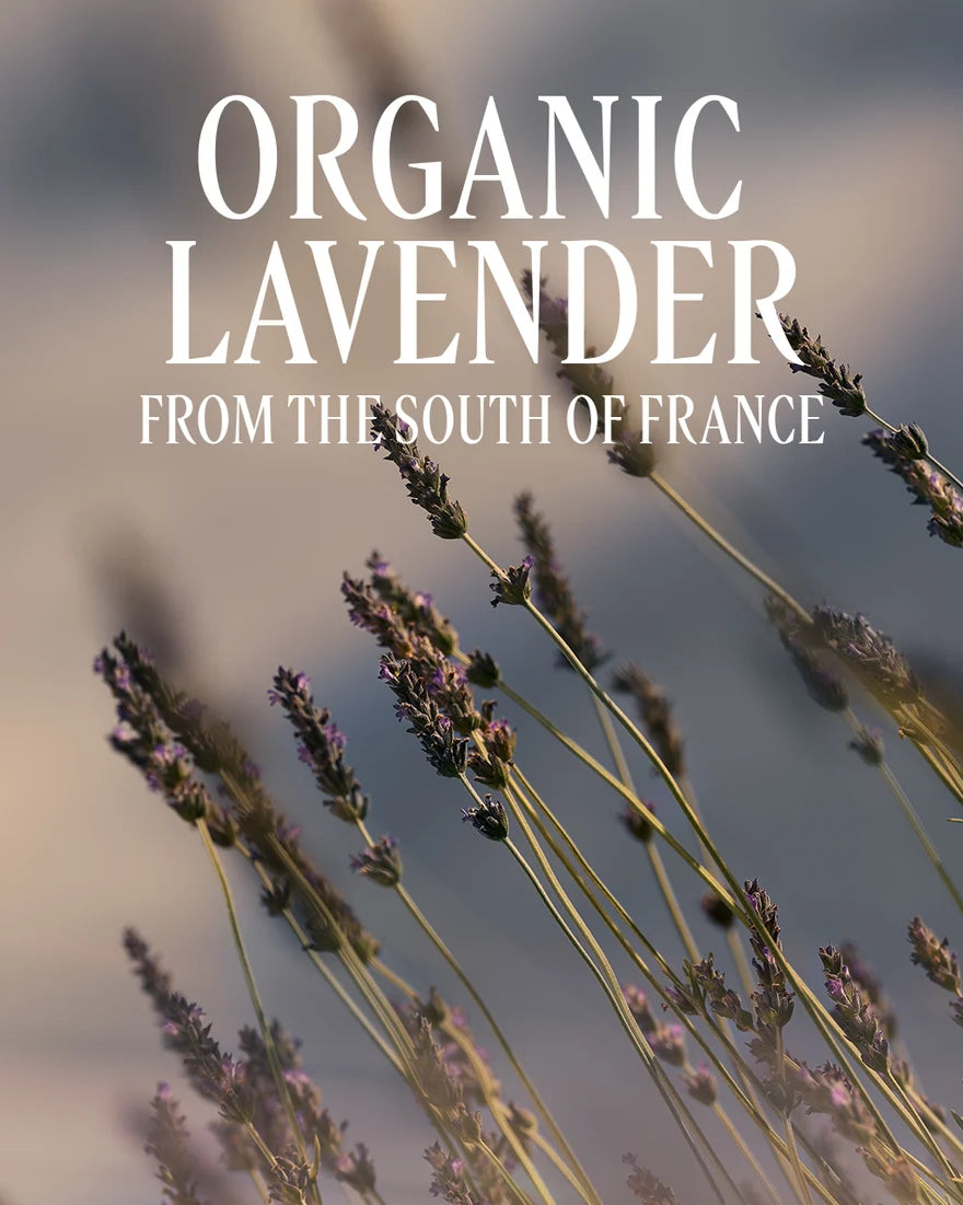 L'OCCITANE Lavender Perfumed Shower Gel 250ML