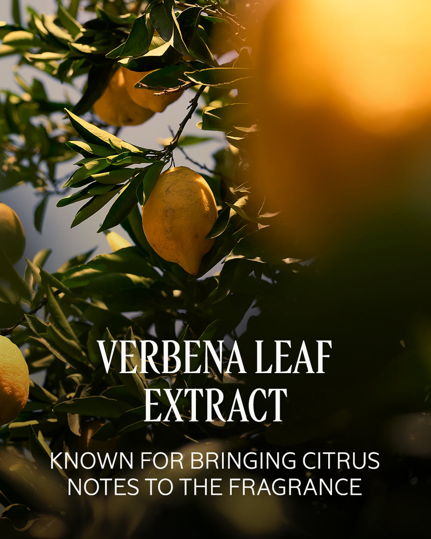 L'OCCITANE Citrus Verbena Perfumed Shower Gel 250ml
