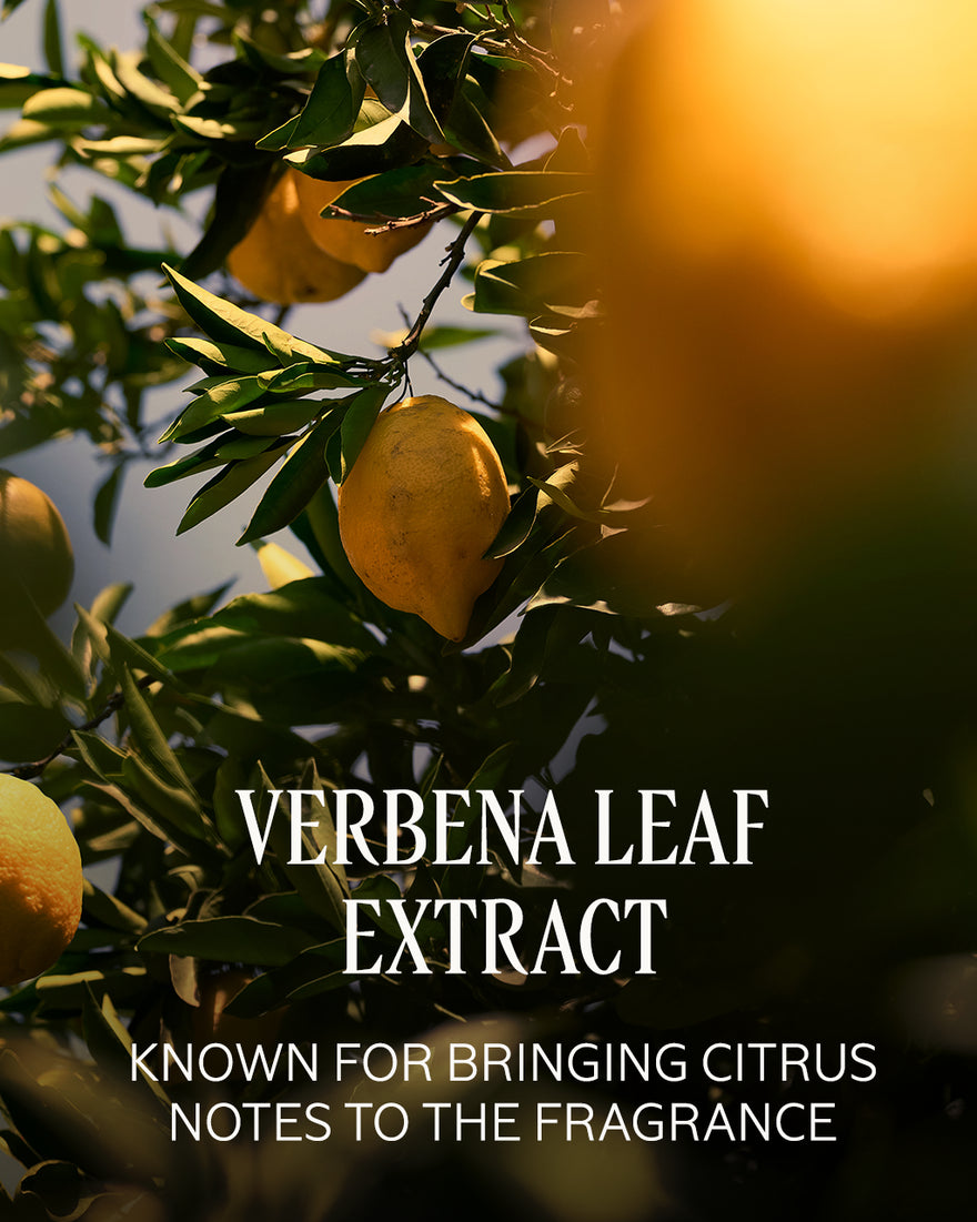 L'OCCITANE Citrus Verbena Perfumed Body Lotion 250ml
