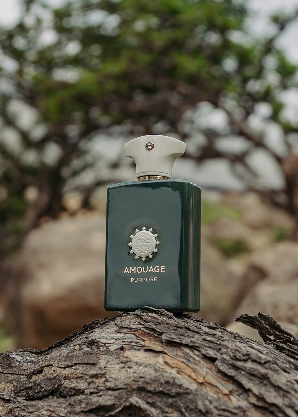 AMOUAGE Purpose Man EDP 100ml