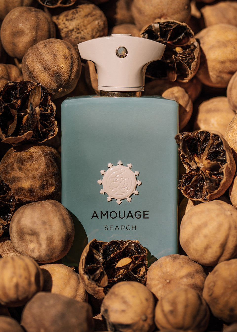 Amouage Search Man EDP 100ML
