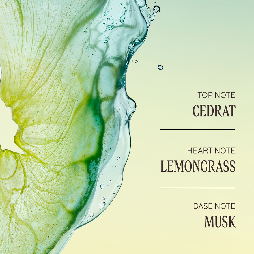 L'OCCITANE Cedrat Deo Stick 70g