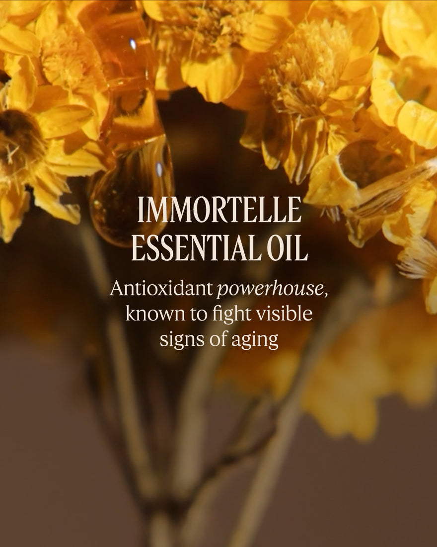 L'OCCITANE Immortelle Overnight Reset Oil In Serum 30ml