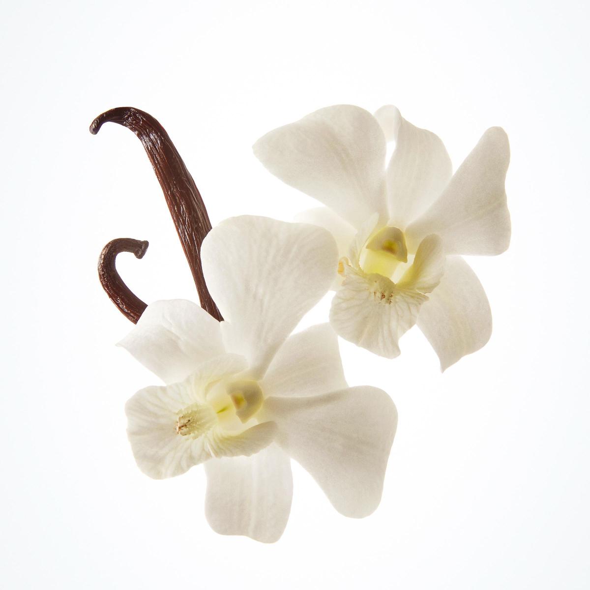 Laneige Lip Sleeping Mask