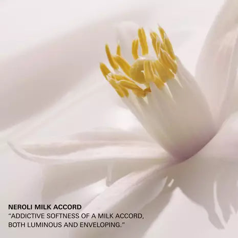 Prada Paradoxe Sweet Chemistry Eau De Parfum