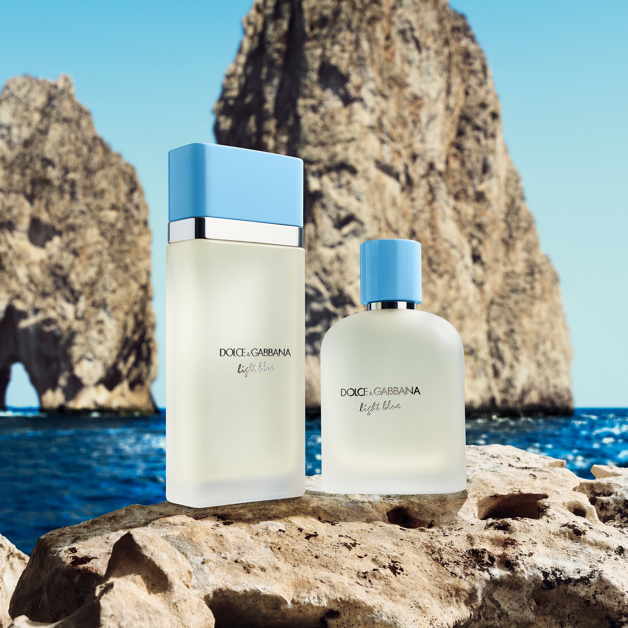 DOLCE & GABBANA Light Blue Ladies EDT 100ml | Essenza