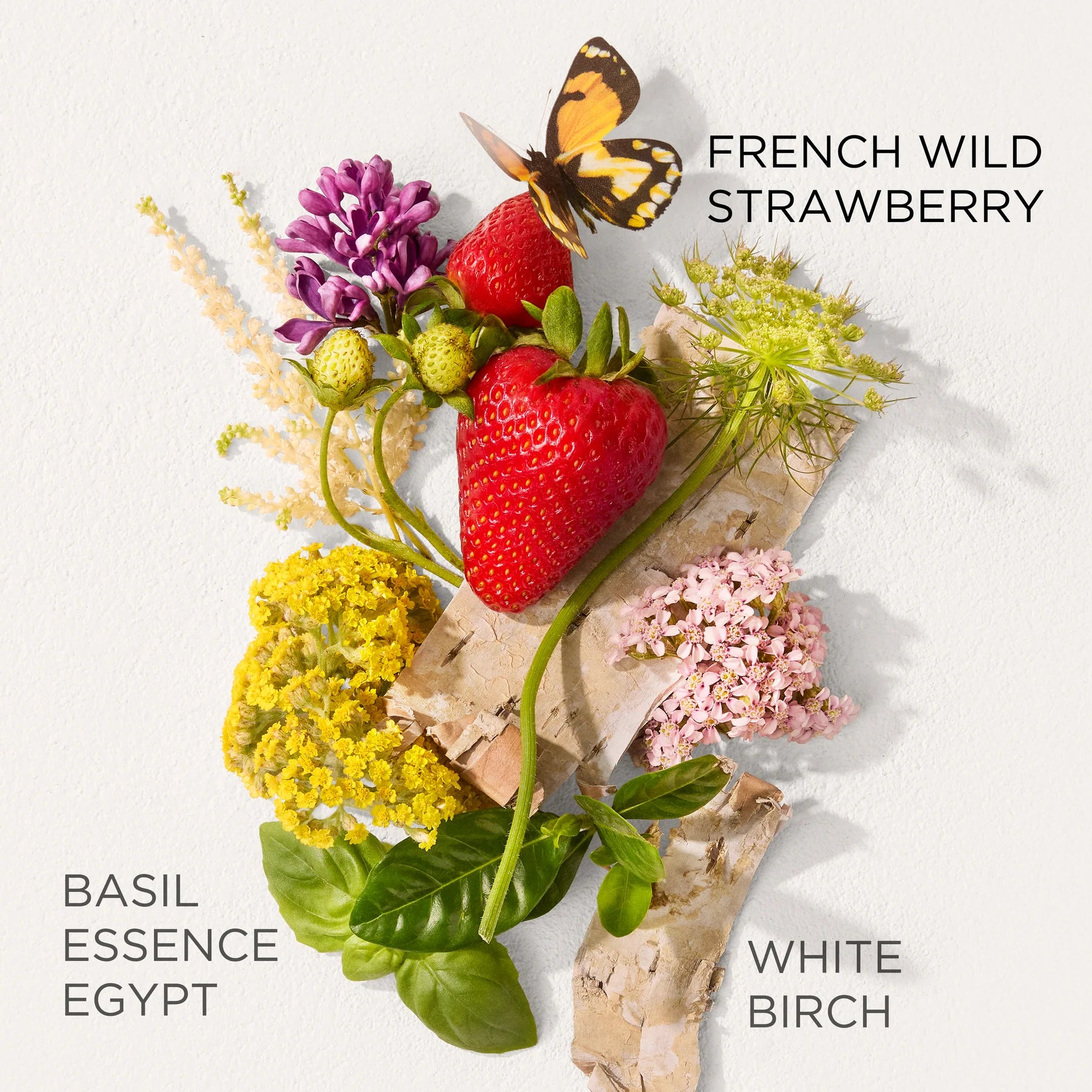 ELIZABETH ARDEN Green Tea Scent Strawberry Basil EDT 100ml