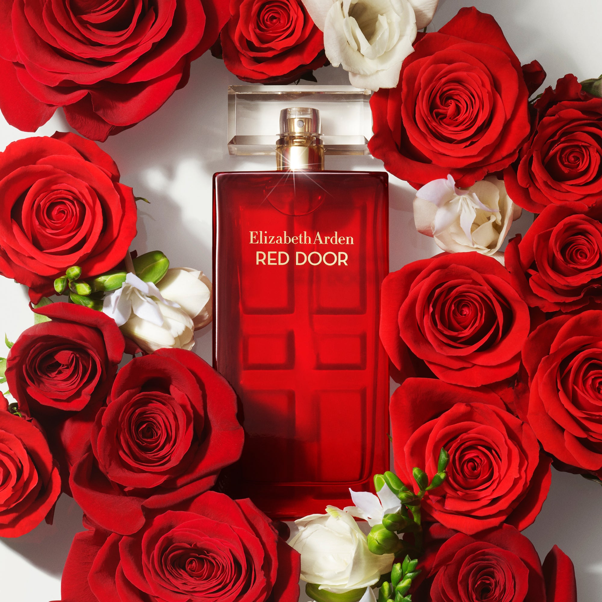 ELIZABETH ARDEN Red Door Ladies EDT 100ml