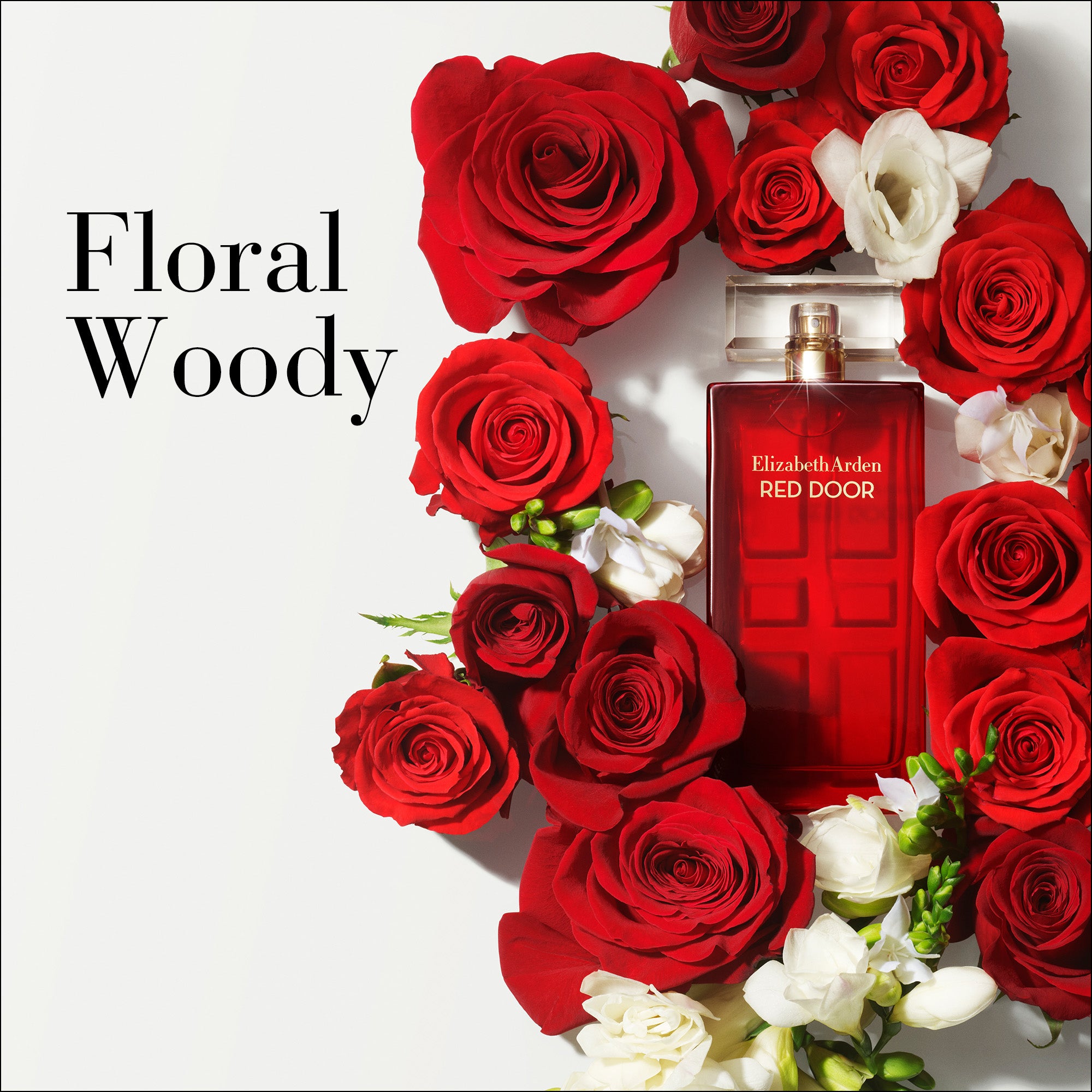 ELIZABETH ARDEN Red Door Ladies EDT 100ml