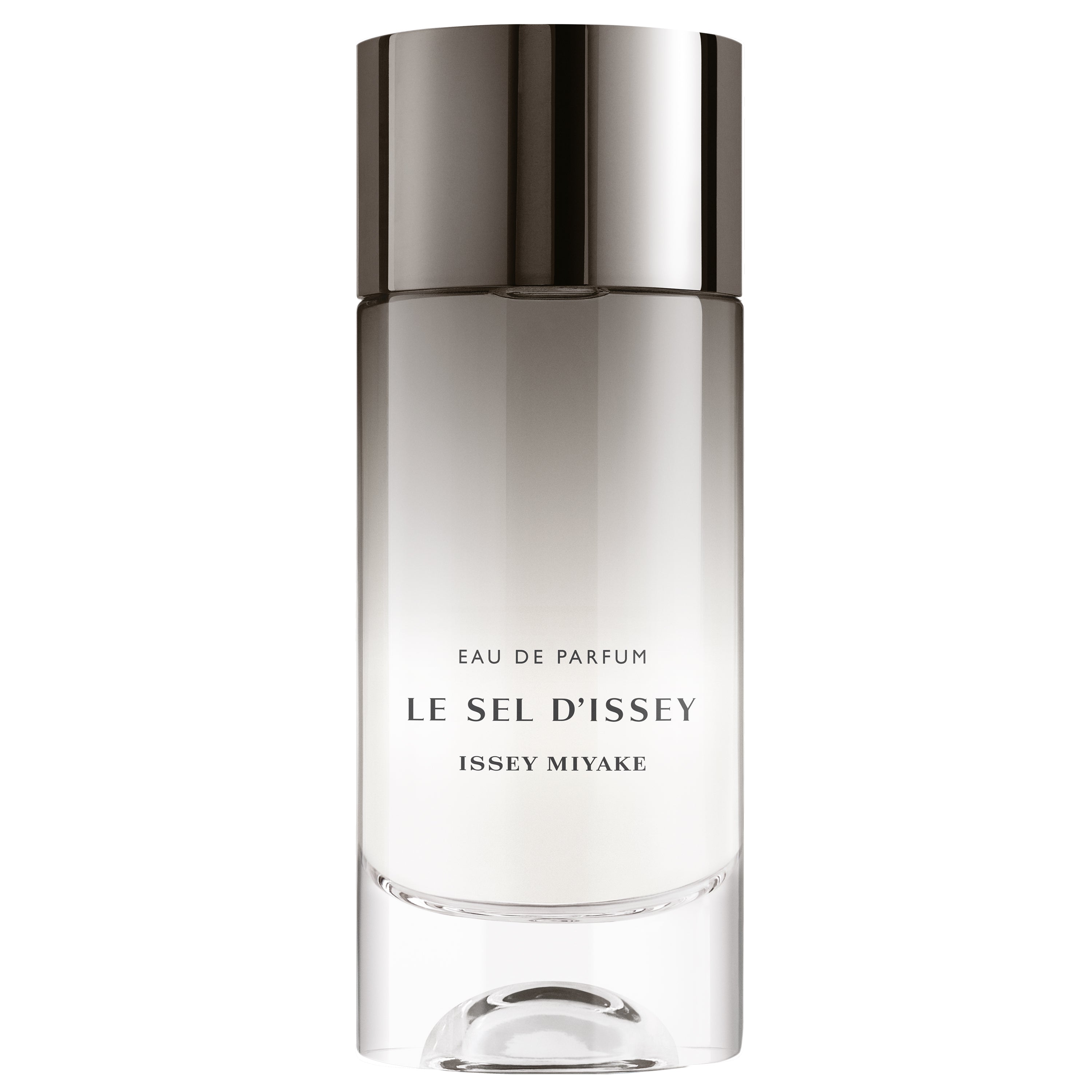 ISSEY MIYAKE Le Sel D'issey For Men EDP 100ml