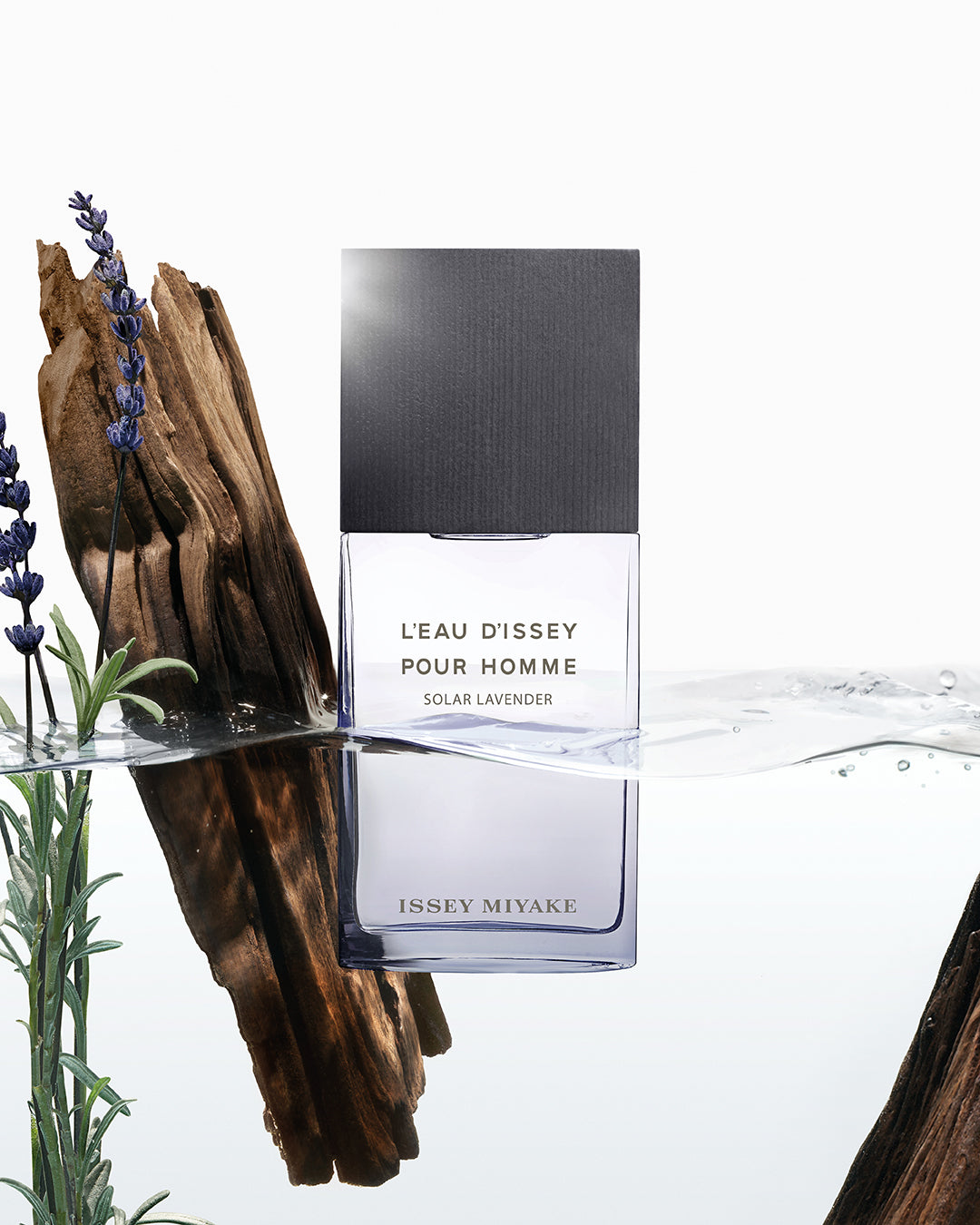 ISSEY MIYAKE Solar Lavender Pour Homme  EDT 100ML