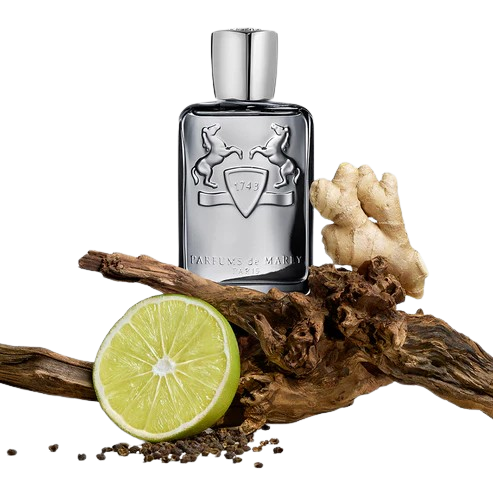 Parfums De Marly Castley EDP 125ml