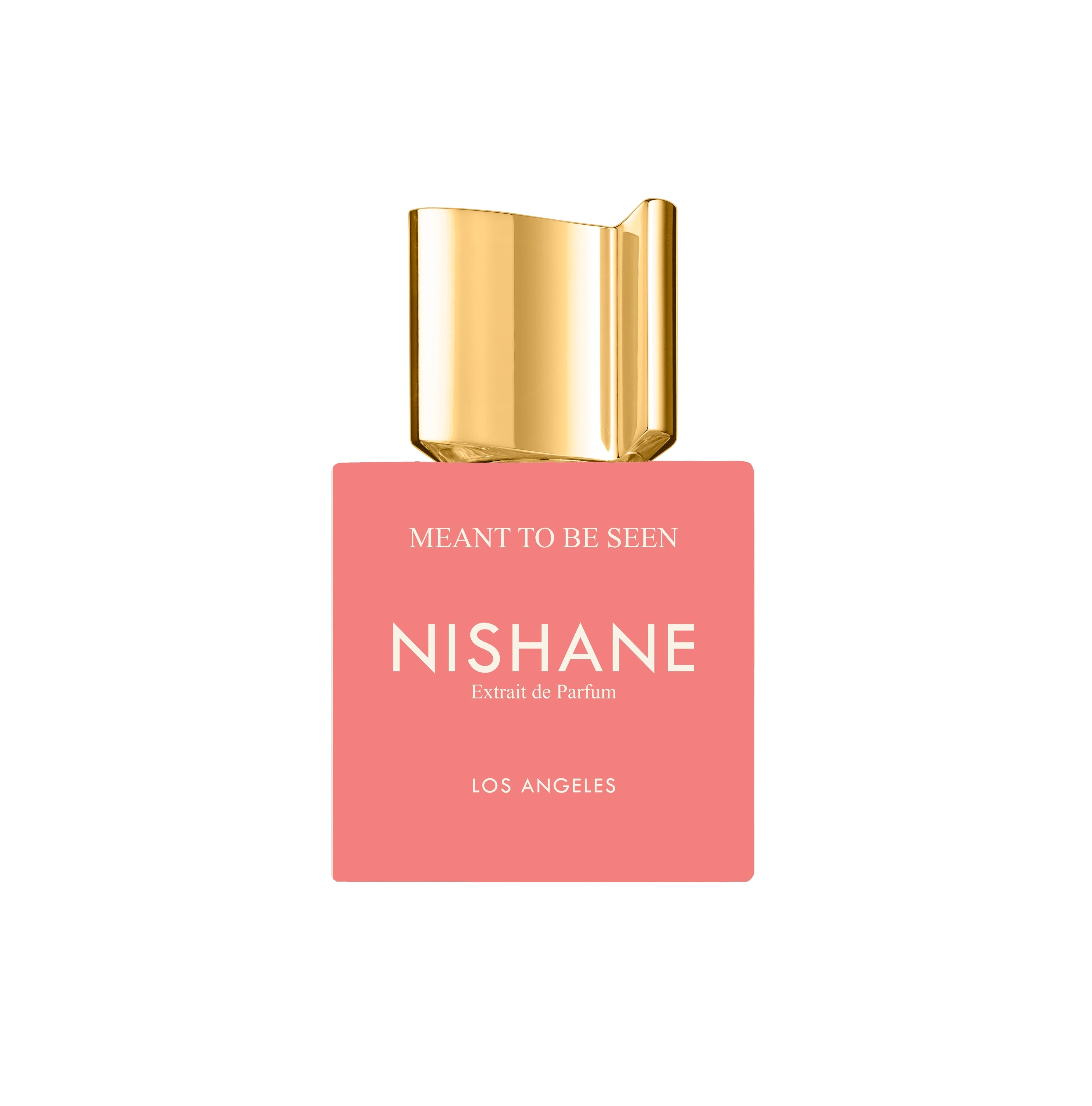 NISHANE Meant To Be Seen  Extrait de Parfum 100ml