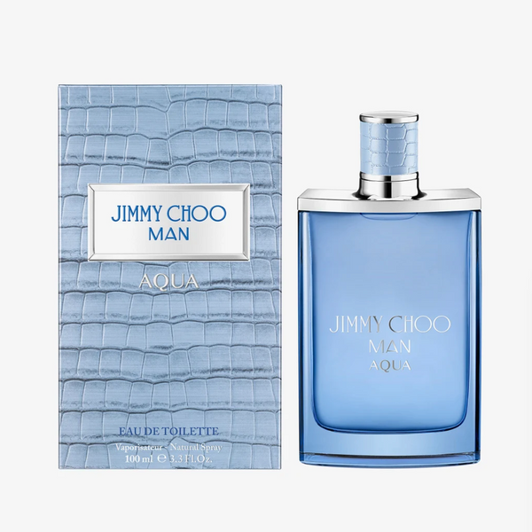 Jimmy choo edt 100ml sales