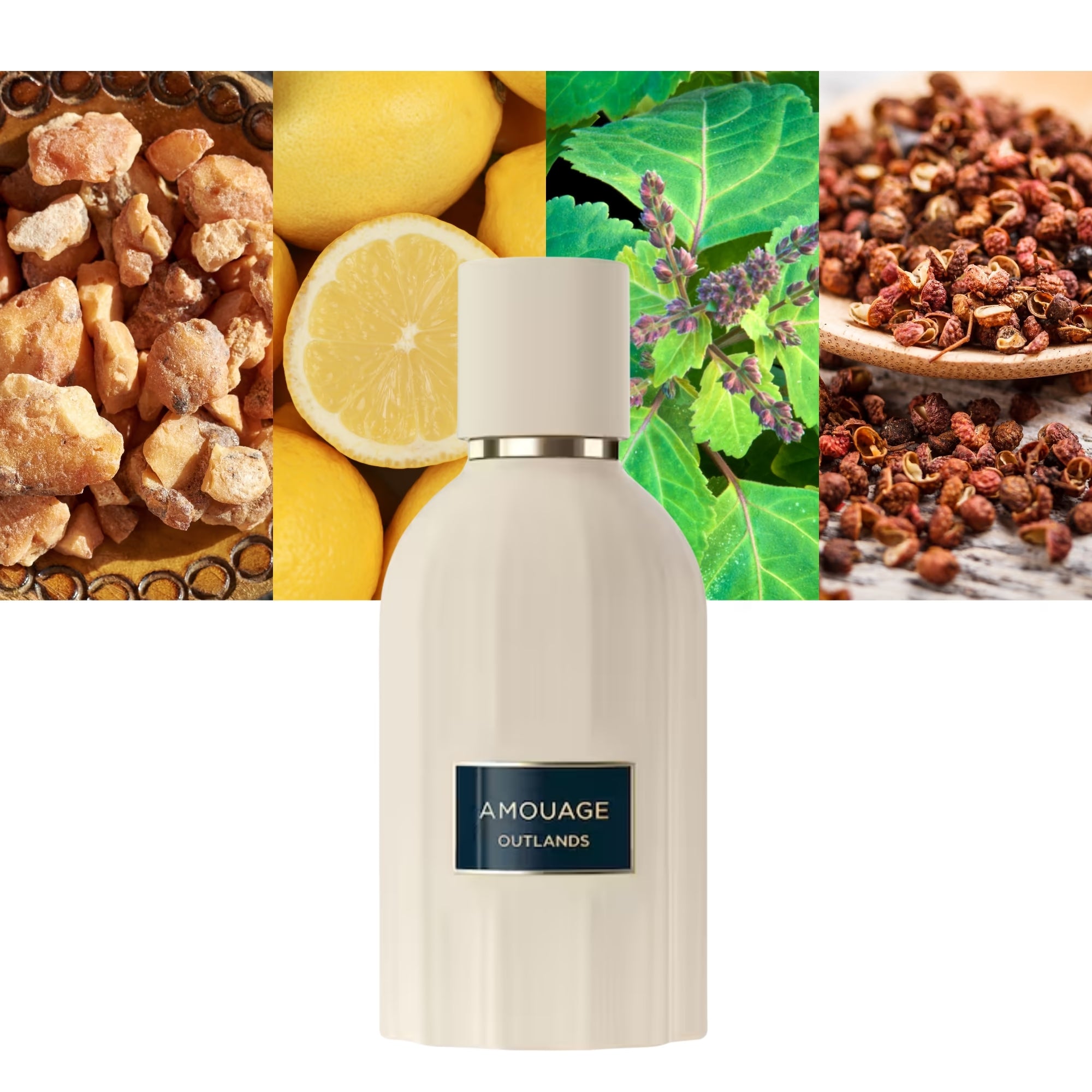 AMOUAGE OutLands Essence De Parfum 100ml