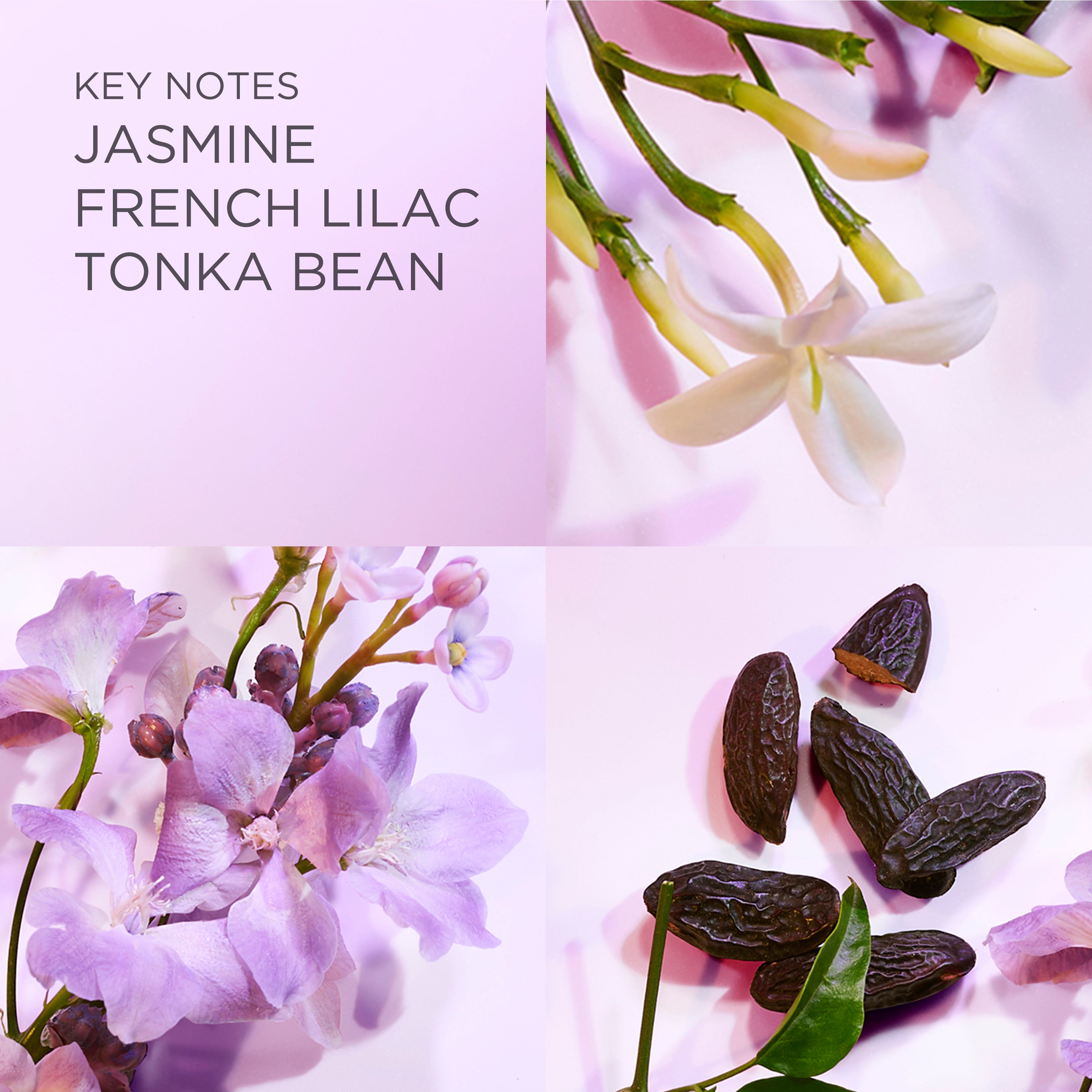 ELIZABETH ARDEN White Tea Eau Lilac EDT 100ml