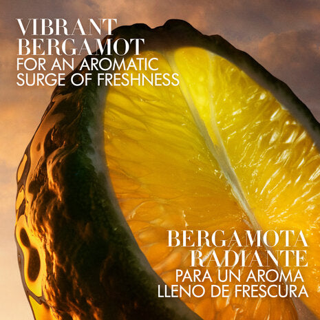 Armani I Will Eau de Parfum 100ML