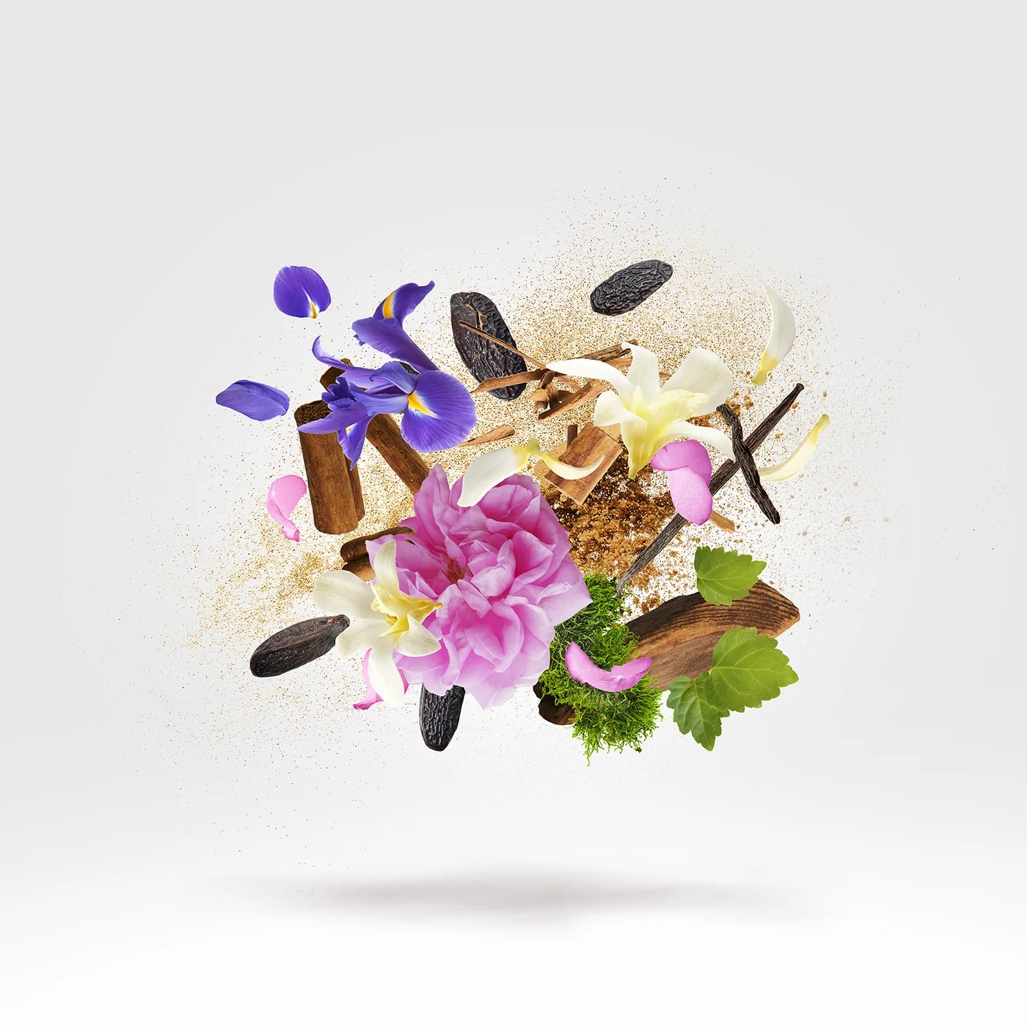 Xerjoff SS Gibeon Parfum 50ml