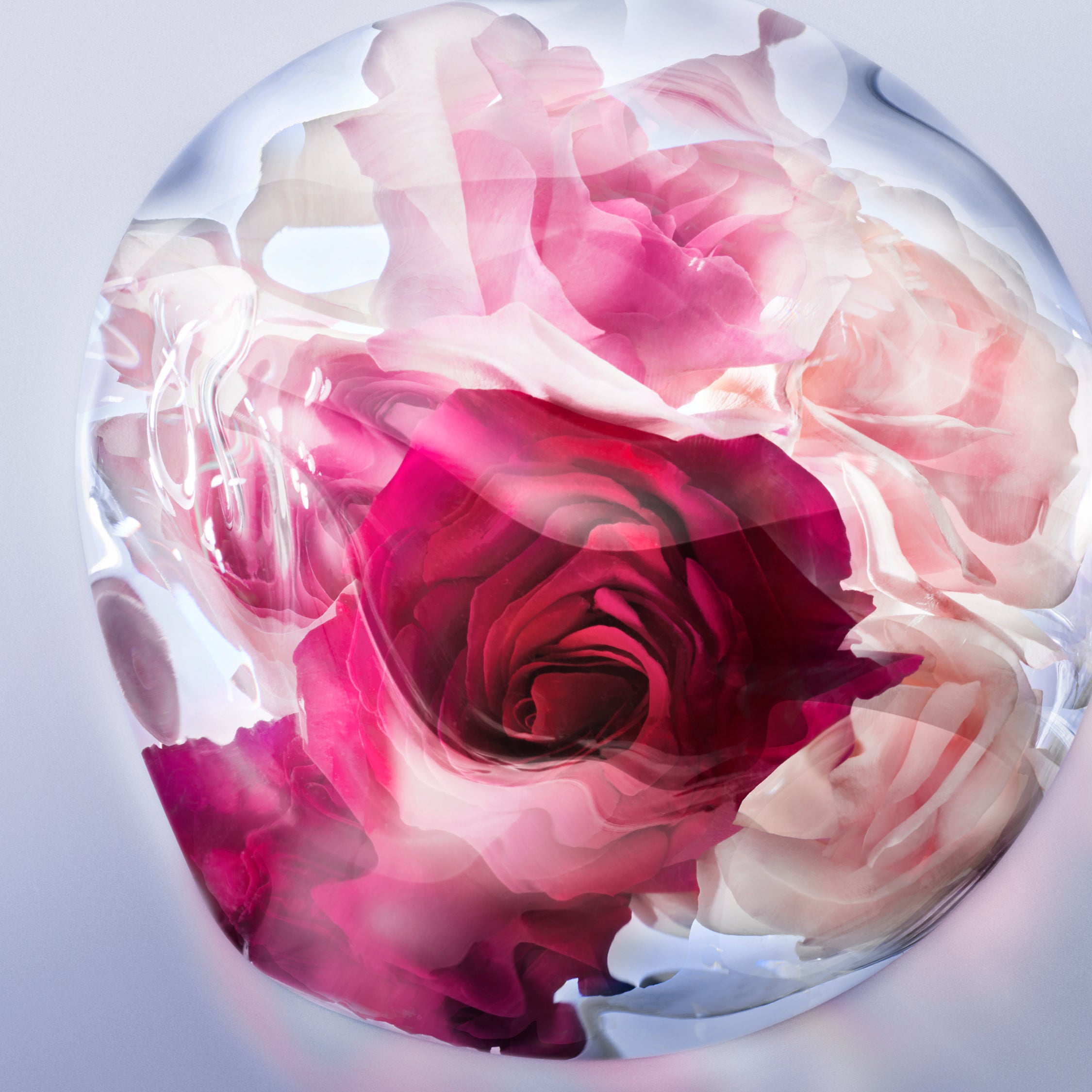 LANCOME La Ve Est Belle Rose Extraordinaire