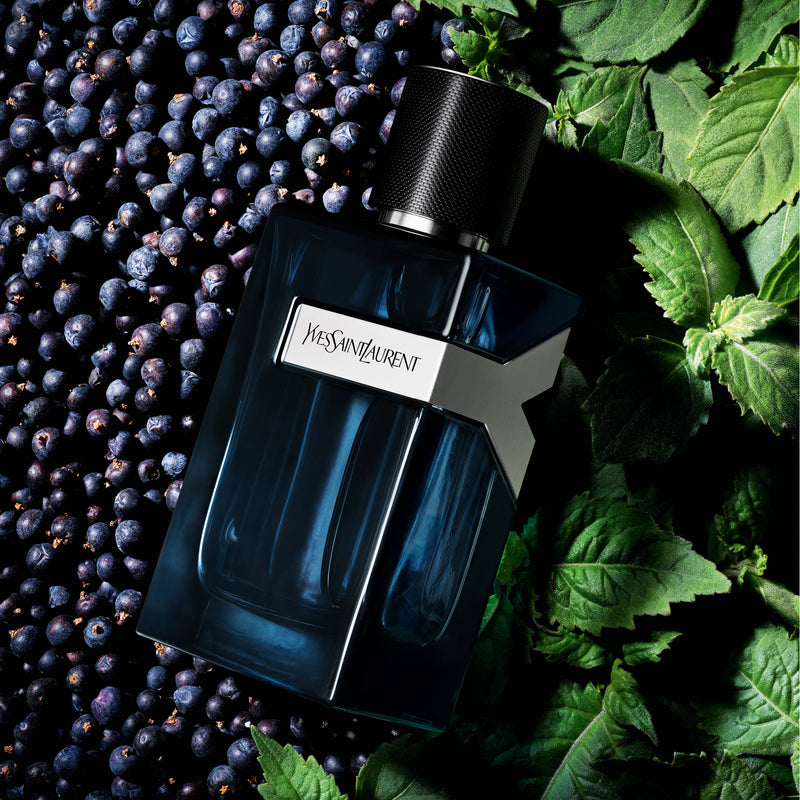 Ysl Y Eau de Parfum Intense