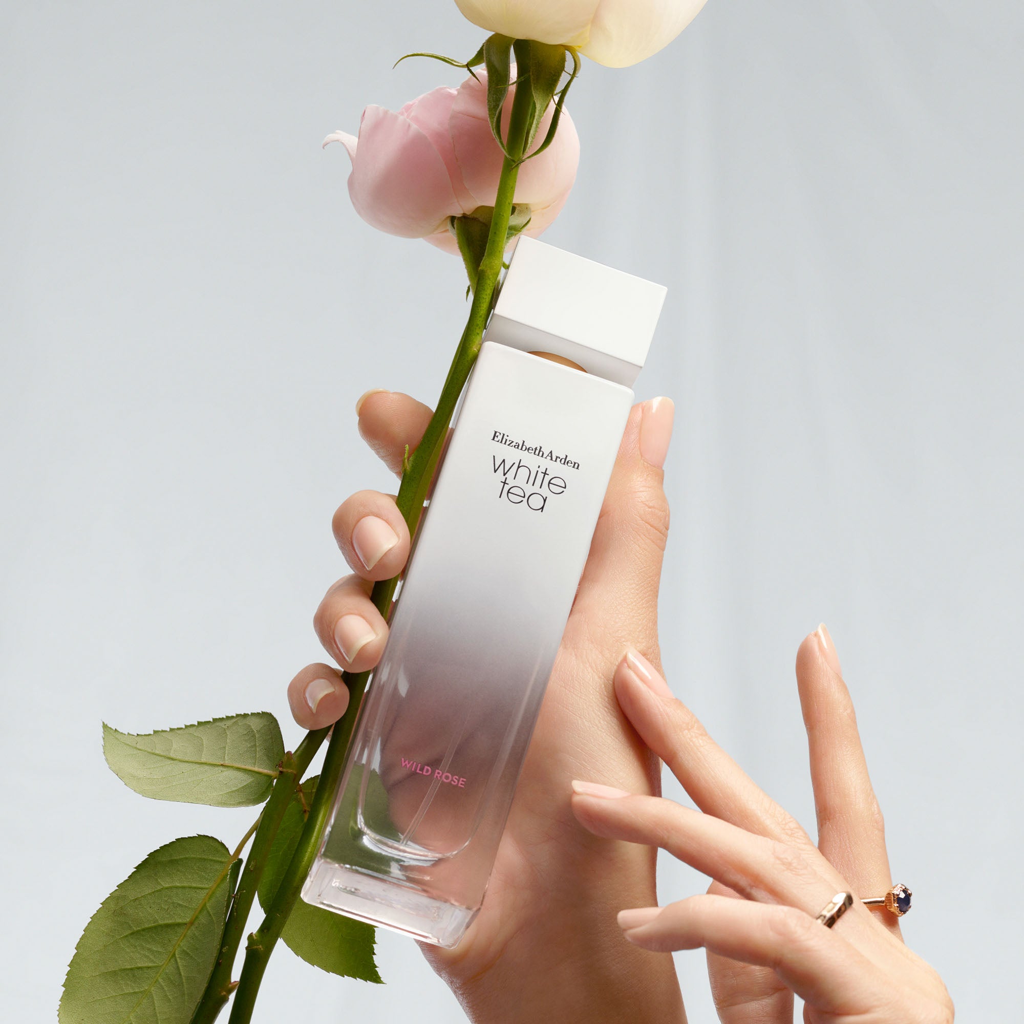 ELIZABETH ARDEN White Tea Wild Rose EDT - 100ml
