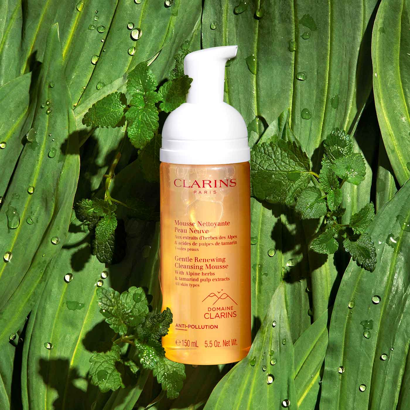 CLARINS Gentle Renewing Cleansing Mousse