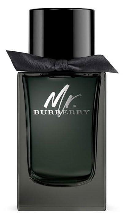 BURBERRY Mr Burberry EDP 100ml